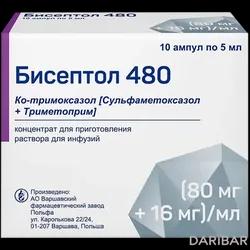 Бисептол Ампулы 480 Мг/5 Мл №10 в Алматы | Фармацевтический завод "ПОЛЬФАРМА" АО