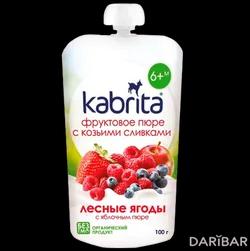 Kabrita Пюре С Козьими Сливками Лесные Ягоды С 6 Месяцев 100 Г в Алматы | Ausnutria Nutrition B.V.