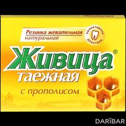 Живица Лиственничная Натуральная С Прополисом 800 Мг №5 в Шымкенте | Алтайский Нектар ООО