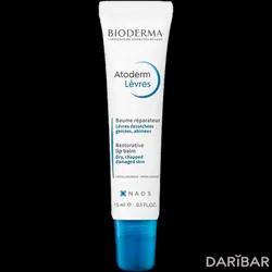 Bioderma Atoderm Levres Бальзам Для Губ 15 Мл в Алматы | Bioderma laboratirie Dermatologique