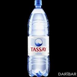 Тассай Вода Питьевая Негазированная Пэт-бутылка 1,5 Л в Шымкенте | Tassay