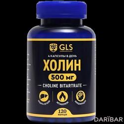 GLS Холин Капсулы 500 Мг №120 в Шымкенте | GLS pharmaceuticals