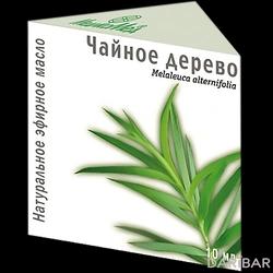 Чайного Дерева Масло Эфирное МедикоМед 10 Мл в Караганде | ООО НПФ Медикомед 