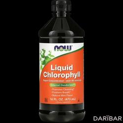 NOW Liquid Chlorophyll Раствор Аромат Натуральной Мяты 473 Мл в Алматы | NOW FOODS 