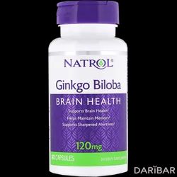 Natrol Ginkgo Biloba Гинкго Билоба Капсулы 120 Мг №60 в Алматы | Natrol